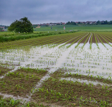 Denitrifikation ist für teils hohe Stickstoffverluste und Umweltbelastungen verantwortlich.