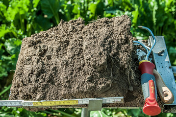 Die Bodenstruktur beeinflusst ma�geblich Wasser-, Luft- sowie N�hrstoffversorgung der Kultur.