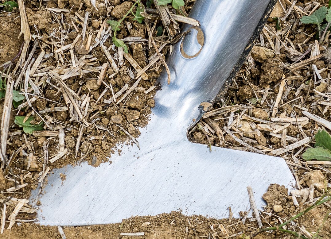 G�nsefu�schare eignen sich besonders f�r die sehr flache Bodenbearbeitung.  