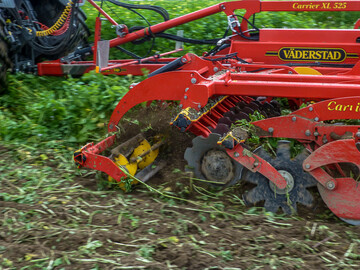 Angepasstes Zwischenfruchtmanagement spart viel Geld.