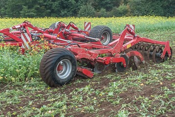 Zwischenfrüchte sollten nicht zu früh umgebrochen werden, um deren Vorteile ausschöpfen zu können.
