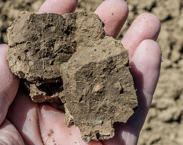 Ein plattig ausgepr�gtes Bodengef�ge beeintr�chtigt das Wurzelwachstum massiv.