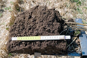 �berpr�fen Sie nach der Ernte Ihren Boden auf m�gliche Schadverdichtungen.