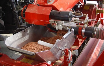 Erreicht das Saatgut f�r Weizen und Gerste die gesetzlichen Mindestanforderungen?