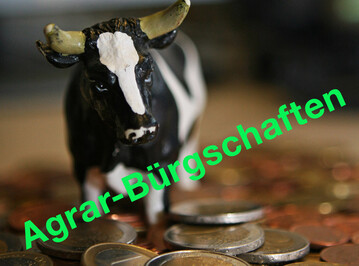 Ab dem 16. April 2020 gibt es Liquidit�tssicherungsdarlehen an, die mit einer B�rgschaft kombiniert sind.