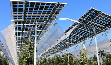 Wann und wie etabliert sich die Agri-PV tatsächlich und welchen Beitrag kann diese Technologie bei den ambitionierten Zielen für Freiflächen PV überhaupt leisten? Damit beschäftigten sich die Redner bei der öffentlichen Anhörung im Landtag am 26. April.