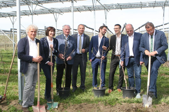 Zum Projektstart der Agri-PV-Anlagen im Obstbau pflanzte Landwirtschaftsminister Hauk (r.) mit Projektbeteiligten die letzten Apfelbäume der Anlage am KOB in Bavendorf.