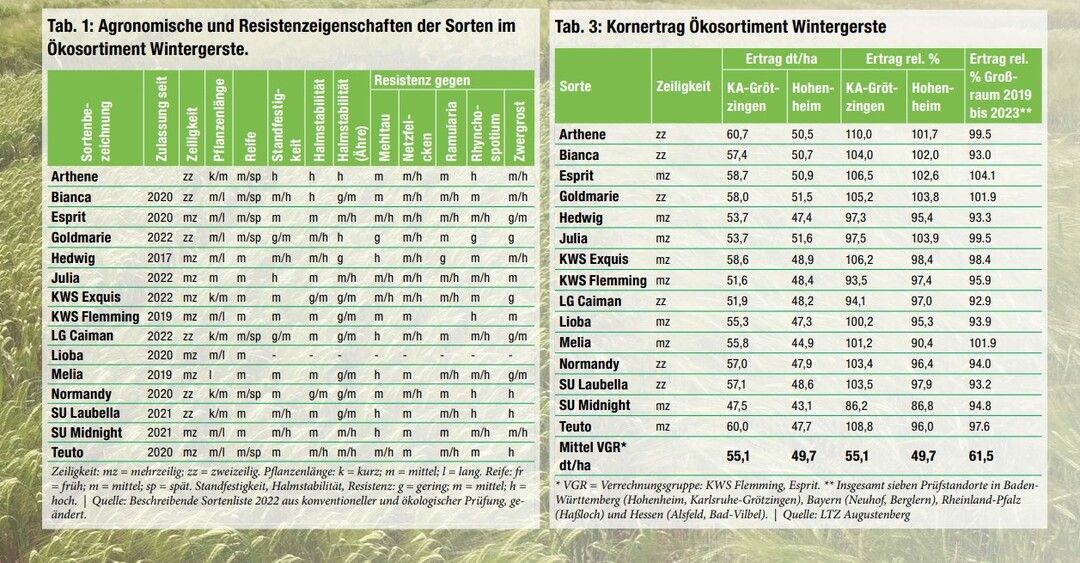 Tabellen Agronomische und Resistenzeigenschaften sowie Kornertrag Ökowintergerste LSV 2023