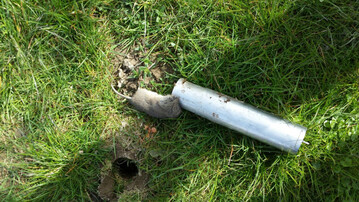 M�use k�nnen in Obstanlagen massive Sch�den verursachen. Fallenfang ist zwar zeitaufw�ndig, aber sicher.