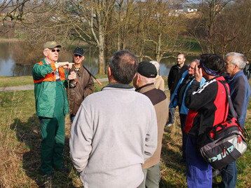 Der Schnitt von Streuobstbäumen erfordert Fachkenntnisse, die in Kursen zum Fachwart vermittelt werden.