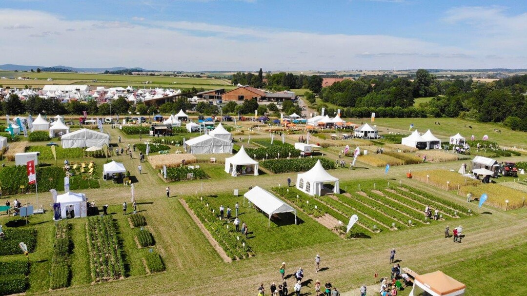 Die Feldtage von oben.