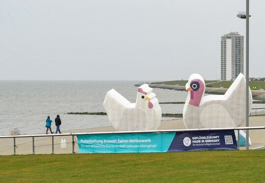 Der ZDG setzte anl�sslich der Agrarministerkonferenz in B�sum �ffentlichkeitswirksam ein Zeichen f�r die Zukunft der Gefl�gelwirtschaft.