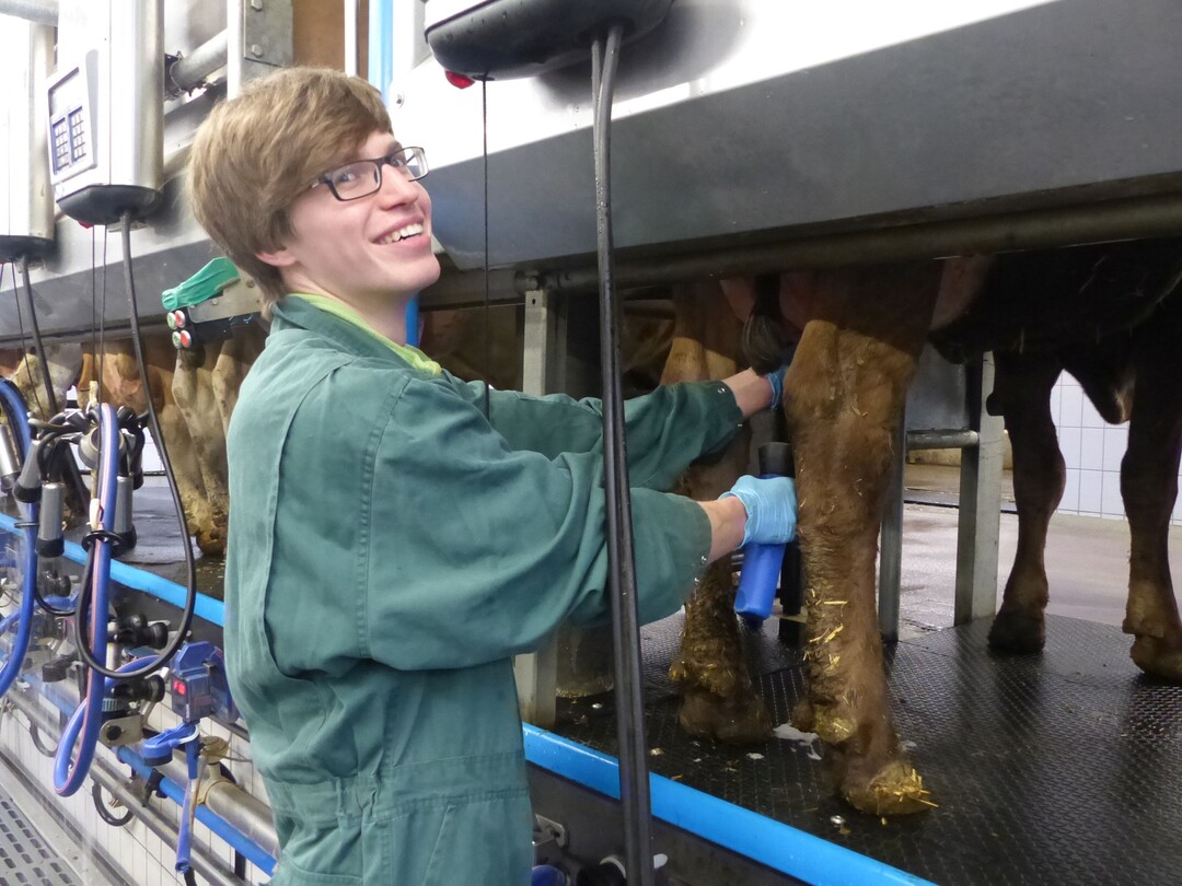 Platz 3 im Landesmelkwettbewerb: Bj�rn Angelberger