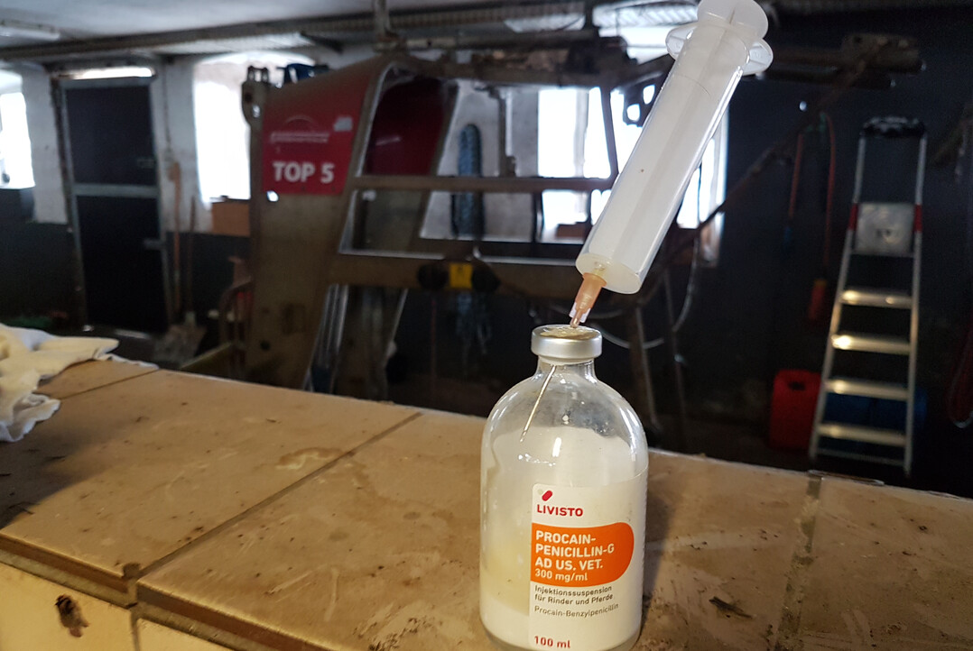 Der Einsatz von Antibiotika in der Tierhaltung sinkt seit Jahren und soll nach Ausweitung der Meldepflichten noch weiter zur�ckgehen. Ziel ist eine noch bessere Tiergesundheit.