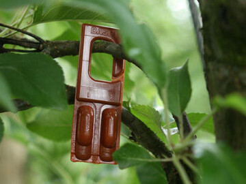 Biologische Verfahren wie beispielsweise die Pheromonverwirrung gegen Befall mit Apfelwickler haben sich zum Teil in der Praxis etabliert, es gibt aber noch viel Forschungsbedarf f�r neue Verfahren. 