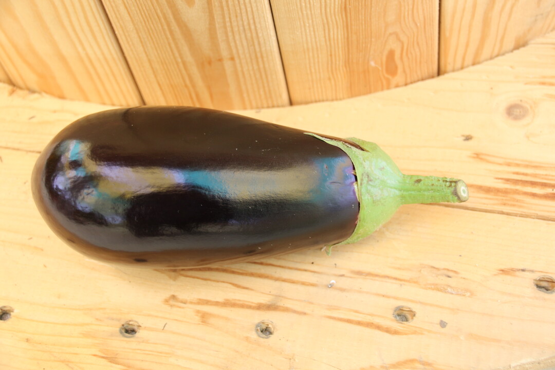 Stachelfreie Ernte garantiert Aubergine Lemmy von Enza Zaden. Sie ist etwas länglicher als das restliche Sortiment und bildet keine Stacheln am Kelchblatt aus.