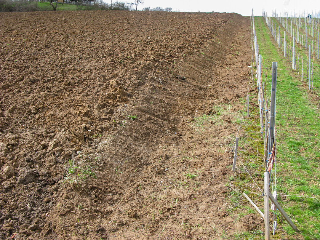 Kommt es im Zuge einer Neuanlage zu Abgrabungen und Auff�llungen, m�ssen die dadurch entstehenden Nachteile immer beim Verursacher liegen. Trotzdem bietet es sich an, die Ma�nahme zuvor beim Nachbarn anzuk�ndigen.