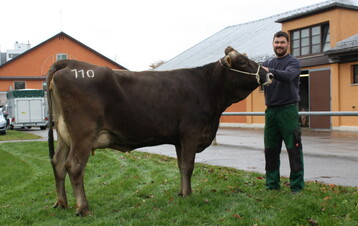 Spitzenjungkuh am 8.11. in Kempten war diese leistungsstarke Vox-Tochter mit 32 kg Tagesgemelk von Daniel Weber, G�risried. Sie blieb f�r 2220 Euro im Zuchtgebiet.