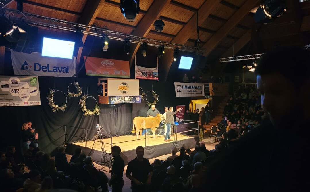 Blick auf die Bühne: Die Auktionshalle war mit Auktionsbühne, Werbeständen, Bewirtung und Online-Auktions-Infrastruktur von Farmersbid sowohl auf die Gäste in der Halle, als auch auf die Gäste zuhause an den Bildschirmen bestens vorbereitet.