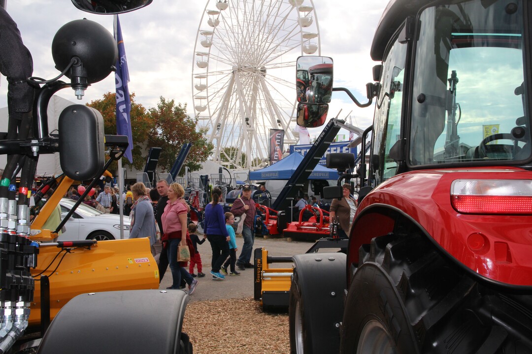 Das Riesenrad ist eine der Attraktionen der Muswiese - aber nur in geraden Jahren. Das n�chste Mal 2020.