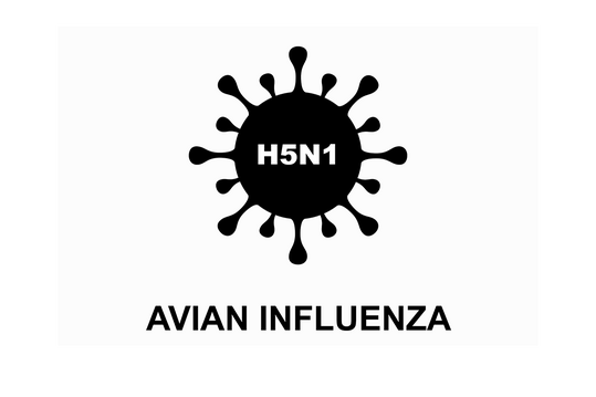 Efsa sieht die Impfung gegen HPAI als integraler Bestandteil der Seuchenbekämpfung.