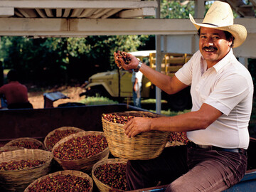 Der Einsatz von Biostimulanzien wie Bayfolan� von Bayer soll unter anderem im Kafeeanbau die Ertr�ge erh�hen und die Qualit�t verbessern.