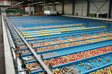 Der BayWa-Obstgro�markt Kressbronn hat ein Energiemanagementsystem eingef�hrt und lagert, sortiert und verpackt nun klimaneutral.