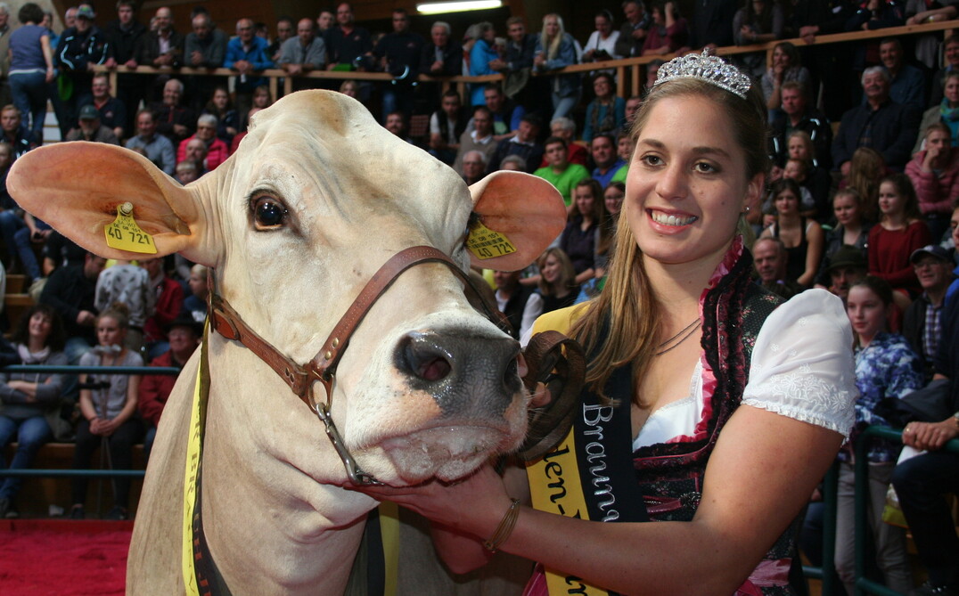 Die frischgekrönte Braunviehkönigin Beate Bühler mit Grand-Champion Kuh, der Payssli-Tochter Roxane vom Betrieb Friedrich Sauter aus Bad Wurzach.