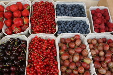 Trotz eines Rückgangs der Erntemenge bei Strauchbeeren im Vergleich zum Vorjahr liegt die Produktion noch auf dem Durchschnittsniveau der letzten sechs Jahre.