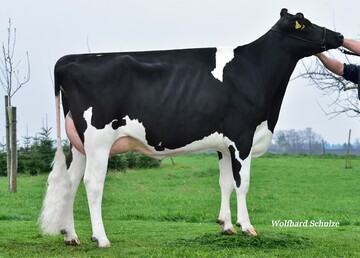 Die leistungsstarke Barly-Tochter Bentley stammt aus der Zucht von Thomas Bentele in Ravensburg.