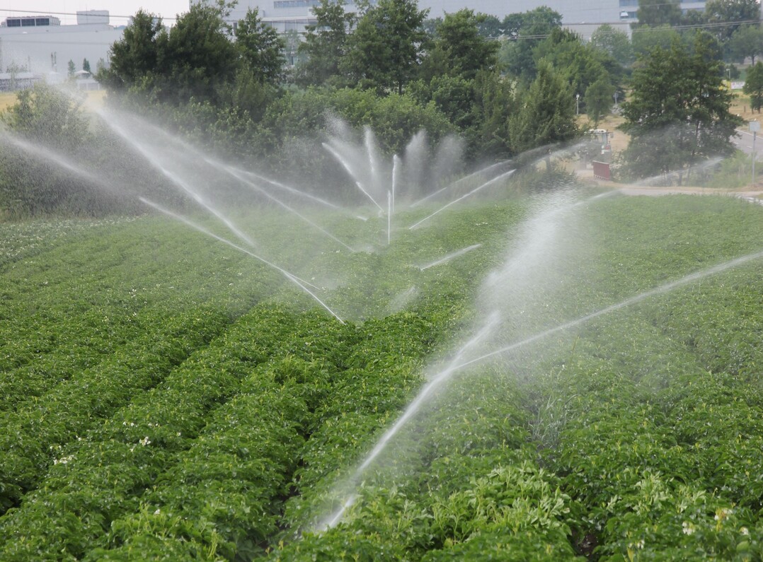 Beregnung eines Kartoffelfeldes auf den Fildern s�dlich von Stuttgart