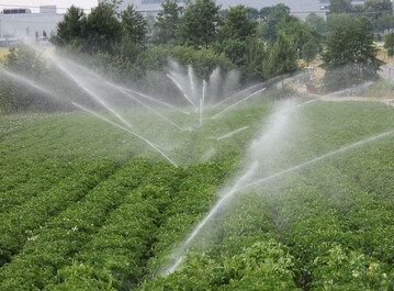 Beregnung eines Kartoffelfeldes auf den Fildern s�dlich von Stuttgart
