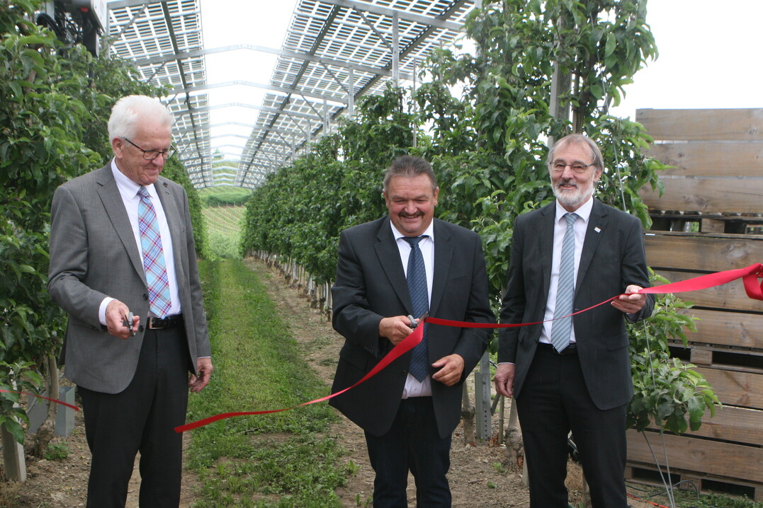 Zusammen mit Obstbauer Hubert Bernhard (Bildmitte) und Prof. Andreas Bett (r.) vom Fraunhofer-Institut f�r Solare Energiesysteme in Freiburg hat Ministerpr�sident Winfried Kretschmann eine Agri-PV-Anlage in Kressbronn er�ffnet.