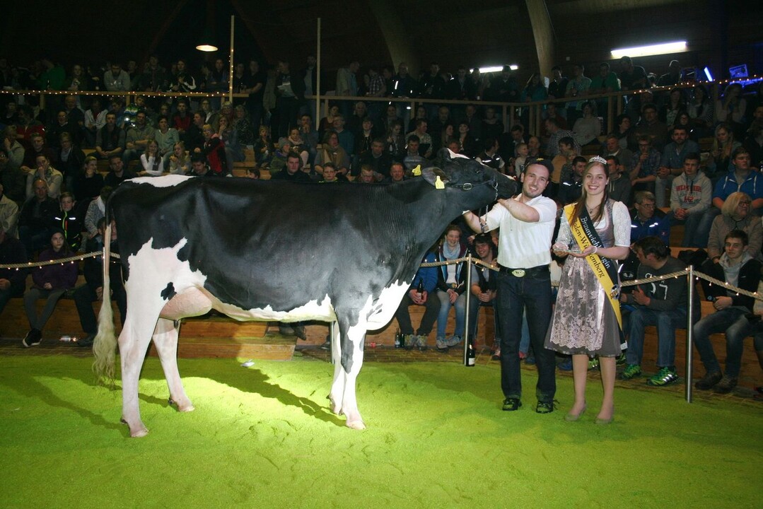 Bei den Holsteinjungkühen entschied eine große, lange und mit bestem Euter ausgestattete Fever-Tochter aus dem Zuchtbetrieb von Kerstin und Markus Mock in Markdorf das Rennen um den Siegertitel.