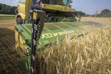 Die seitlichen Trennmesser sollen gew�hrleisten, dass das Krone XDisc auch in schwierigen Best�nden immer sauber arbeitet. 