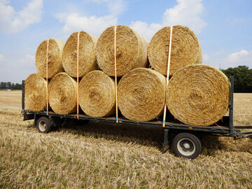 Umgebauter �Jumbo� Lkw-Anh�nger mit fester Front- und R�ckwand. Die Rundballen sind mit Zurrgurten gesichert