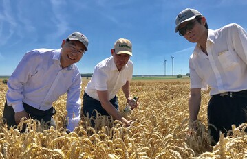 Franken und Chinesen haben das gleiche Ziel: Hybridweizensorten, die Hitze und Trockenkheit ertragen. In der Bildmitte Streng-Engelen-Gesch�ftsf�hrer Dr. Stefan Streng.