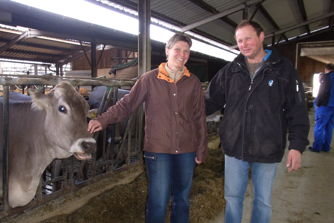 Auf dem ausgesiedelten Betrieb der Familie stehen 103 Braunviehkühe plus die komplette Nachzucht. Nicht alle Kühe kamen mit dem Melkroboter zurecht, der 2009 eingebaut und nach elf Jahren deswegen wieder ausgebaut wurde.