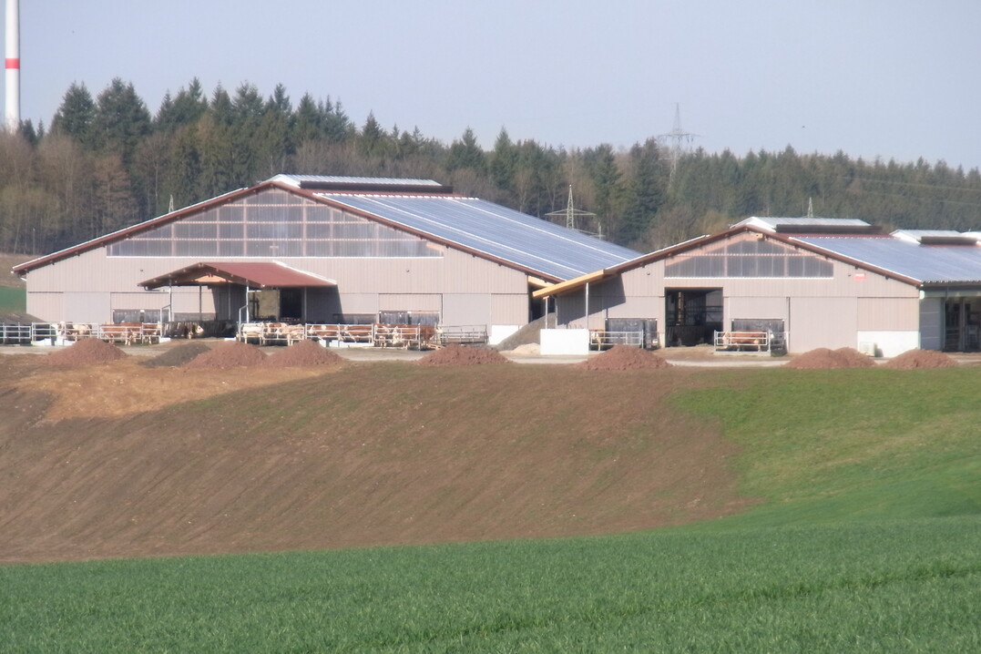 Der neugebaute Boxenlaufstall von David Mayer und seinen Eltern Petra und Klaus Mayer unweit von Ellwangen an der Jagst (Ostalbkreis) ist schon von weitem zu sehen. Die beiden Neubauten beherbergen 180 Fleckviehkühe und die komplette Nachzucht sowie ein Innenmelker-Karussell mit 36 Melkplätzen.