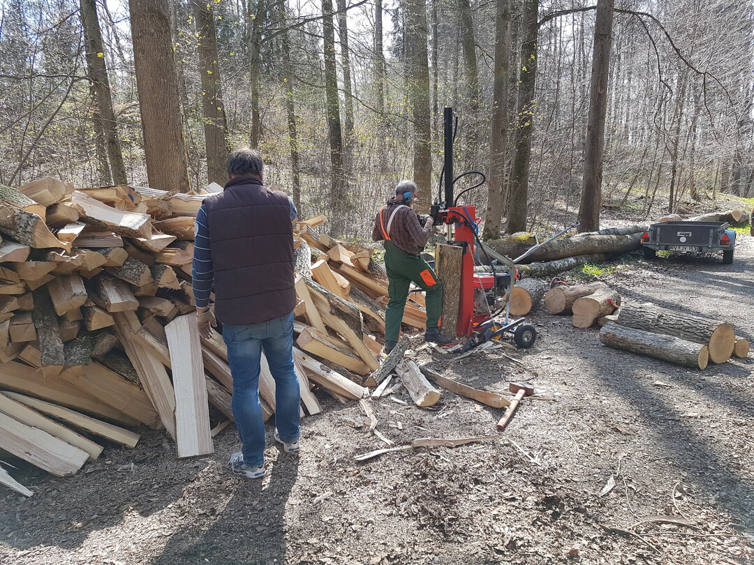 Fachkräfte werden dringend benötigt, um Schäden im Wald zu beseitigen.