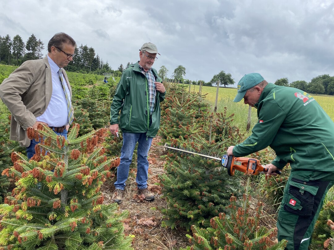 Konrad Galm (Mitte) erläutert Minister Peter Hauk (l.) die in den kommenden Jahren notwendigen Schnitt- und Korrekturmaßnahmen und Mitarbeiter Jürgen Heckmann (r.) zeigte dies exemplarisch mit der Heckenschere.