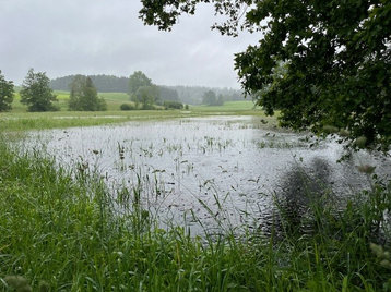 Hochwasserbilder vom 1. und 2. Juni 2024