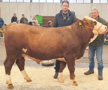 Testbulle Olymp, Sperma auch gesext erh�ltlich.