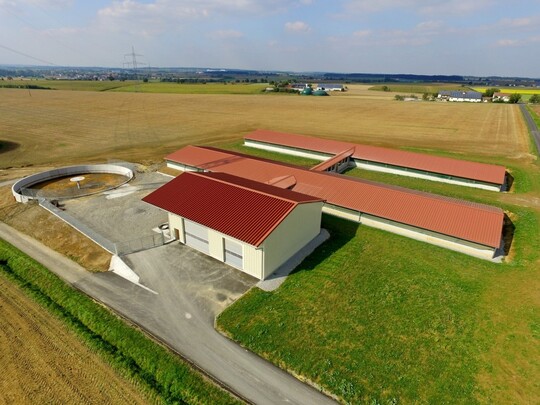 Der Stallkomplex ist in zwei lang gezogene Au�enklimast�lle unterteilt, die �ber einen Versorgungsgang miteinander verbunden sind. Links davor befindet sich die Futter- und Strohhalle, dahinter die G�llegrube. An den Giebelseiten der beiden St�lle sind Wetterstationen installiert, die die Au�entemperatur, Windst�rke und -geschwindigkeit messen. Beruhend auf diesen Daten, wird die Stellung der L�ftungsklappen an den Fenstern automatisiert den vorherrschenden Witterungsbedingungen angepasst. 