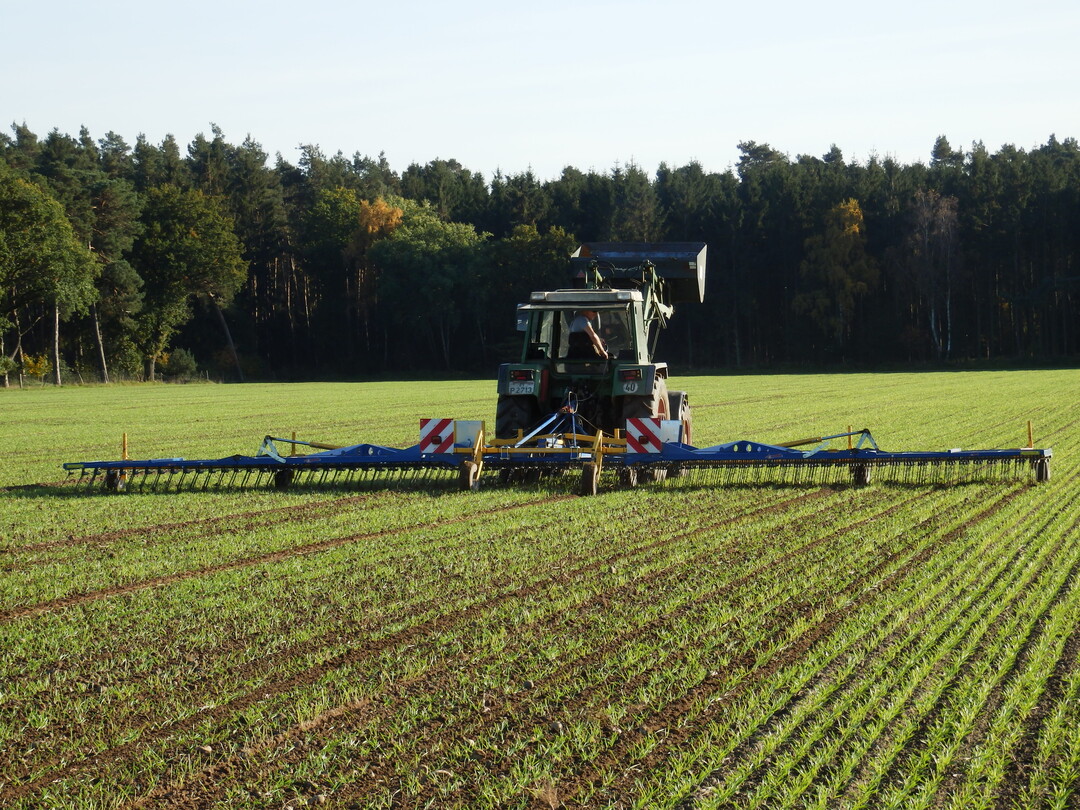  Einsatz des Zinkenstriegels im Herbst in Wintergerste.