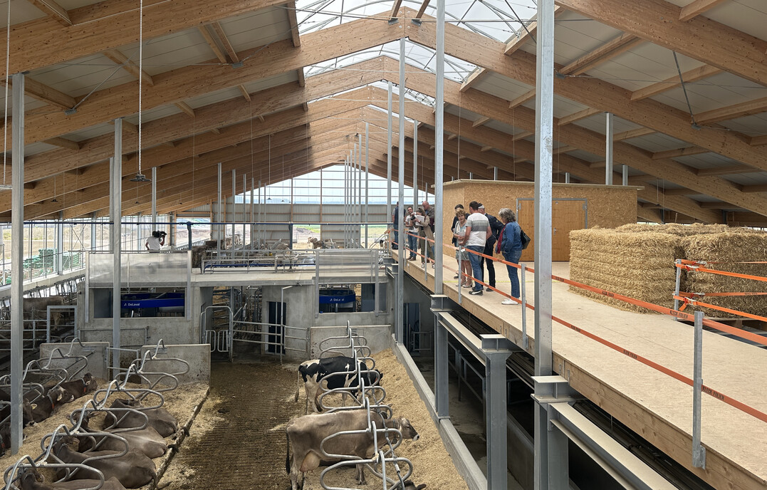 Blick in den neuen Stall.