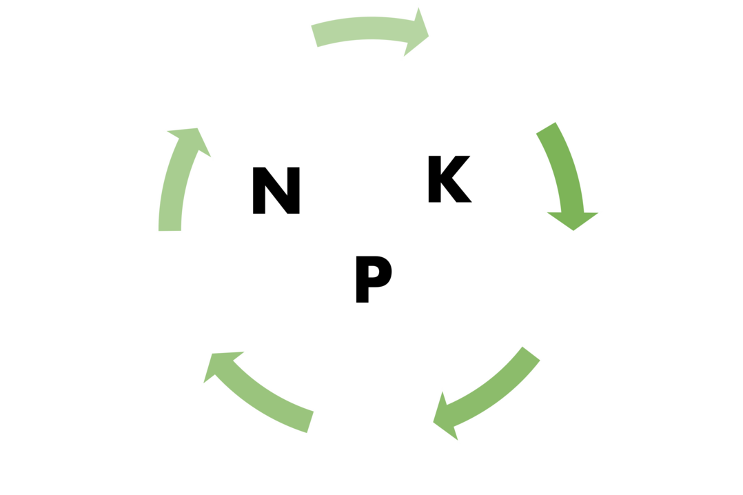  Was geht raus und was kommt rein? Eine N�hrstoffbilanzierung hilft, den �berblick zu behalten und die D�ngestrategie anzupassen.