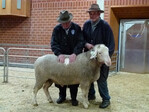 Hermann Horn aus Uhldingen präsentierte den Fleischsieger der Fleischschafrassen (links), ein Ile de France-Bock, Karl Belz aus Gundelsheim den Reservefleischsieger aus der Rasse Suffolk