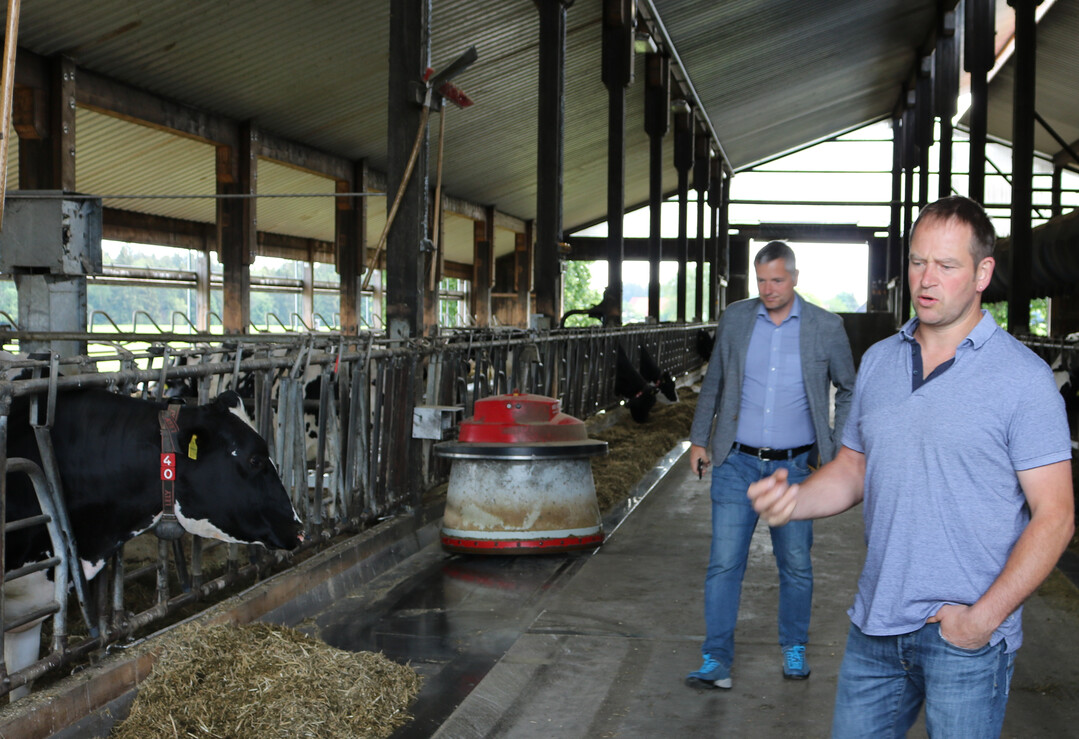 Bestes und sauberes Futter f�r die K�he: Daf�r sorgen ein F�tterungsroboter und ein mit einem Blech ausgestatteter Futtertisch.