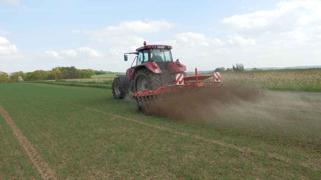 Die Sternrollhacke ist ein Krustenbrecher f�r schwere B�den.
